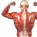 Тренировка спины: эффективный комплекс